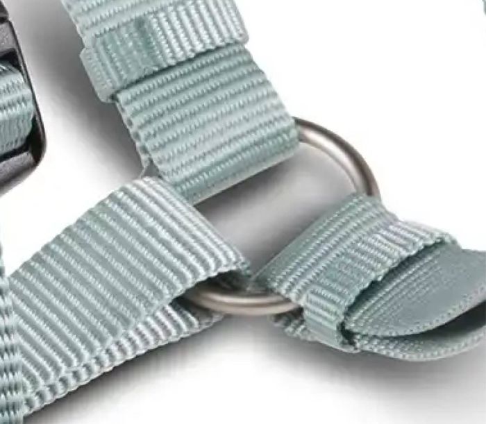 Анатомічна шлейка для собак Wolters Professional L 50-70 см / 20 мм Зелений