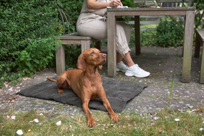 Складаний килим для собак Palopa Alma Сірий S