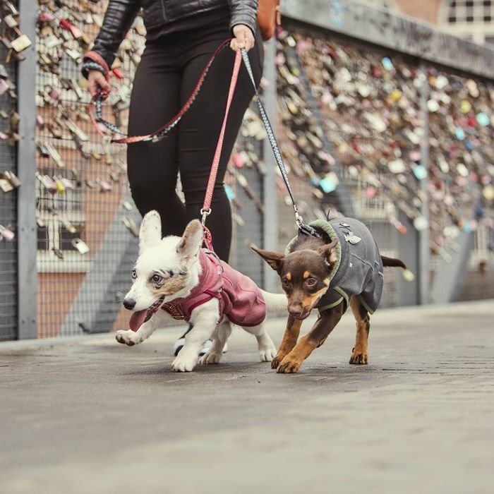 Флісова куртка для собак Hurtta Razzle-Dazzle Midlayer 50 Рожевий