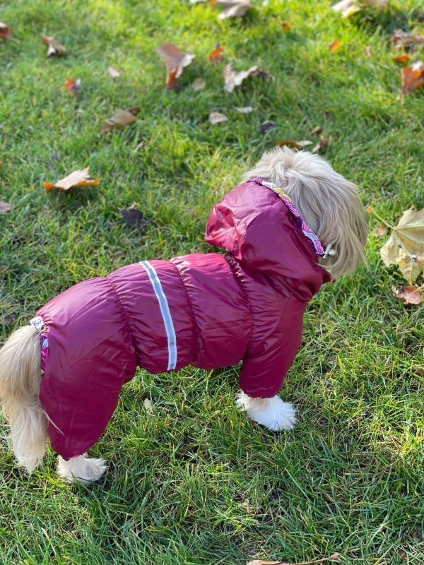 Набір Фрезія жилет силікон + комбінезон велсофт бордо (дівчинка) М