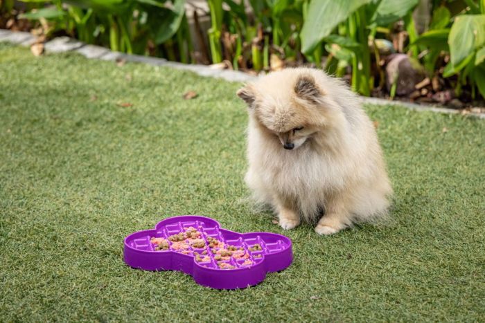 Миска слоуфідер для маленьких собак LickiMat Small Slodog Purple