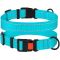 Нашийник для собак BronzeDog Блакитний пластиковий фастекс 1222 50Т 16мм (25-33см)