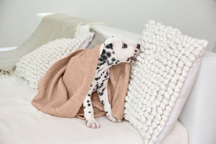 Плед для собак Palopa Mathilda Бежевий М