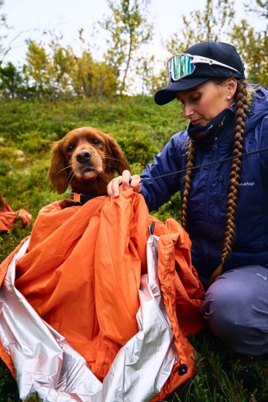 Спальний мішок для собак Bivvy bag Non-stop dogwear Помаранчевий S