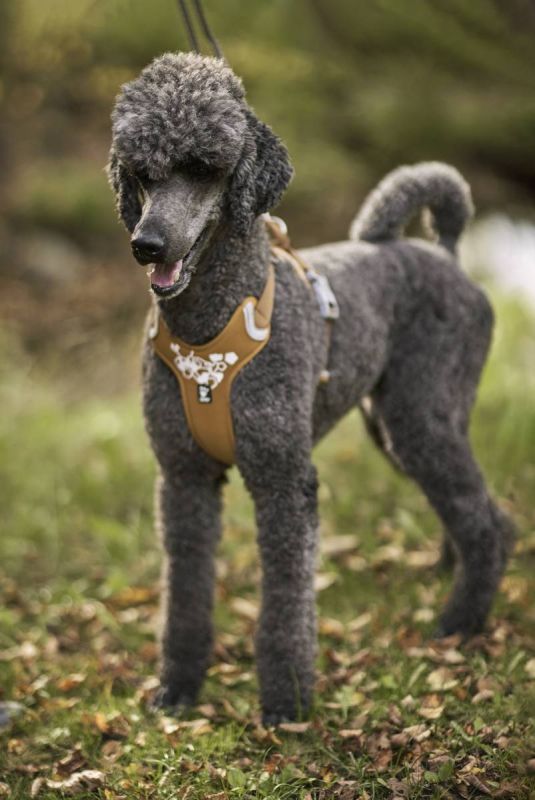 Шлейка для собак пом'якшена Hurtta Weekend Warrior 100-120 см Бежевий