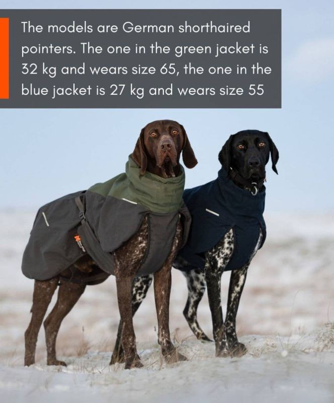 Вовняна куртка для собак Glacier wool jacket 2.0 Non-stop dogwear Темно-Синій 55