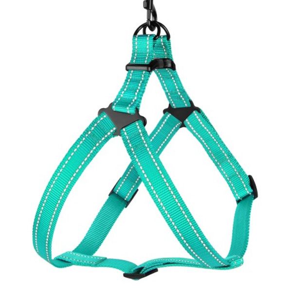 Шлея капронова світловідбиваюча колір ментол 20мм (45-56см)