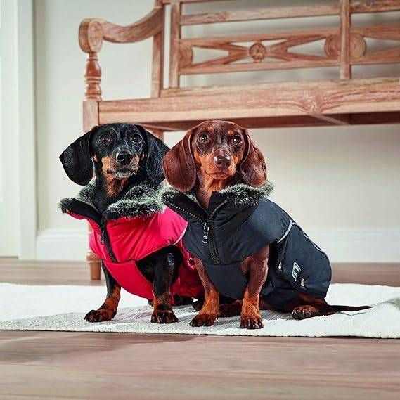 Куртка парку для собак Wolters Amundsen 65 см Чорний