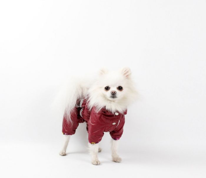 Набір Фрезія жилет силікон + комбінезон велсофт бордо (дівчинка) М