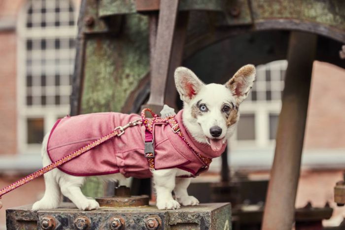 Флісова куртка для собак Hurtta Razzle-Dazzle Midlayer 30 Рожевий