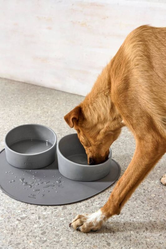 Миска для собак Palopa Cali Сірий