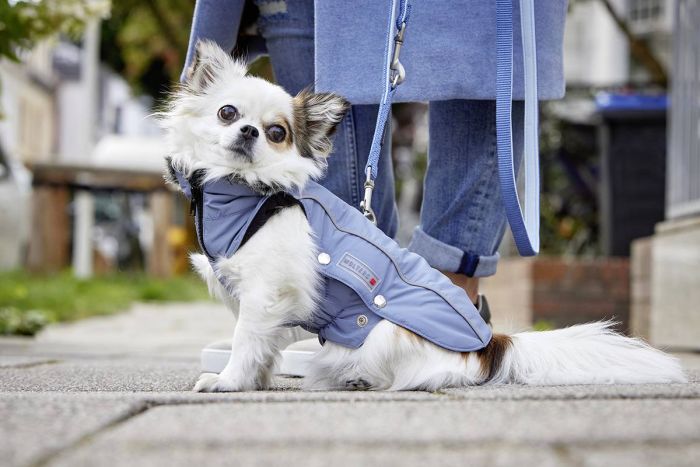 Куртка парку для собак Wolters Amundsen 28 см Синій