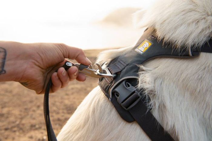 Повсякденна шлейка для собак Ruffwear Front Range® XS 43-56 см Сірий