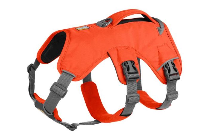 Підтримуюча шлейка для службових собак Ruffwear Web Master™ XXS 33-43 см Помаранчевий