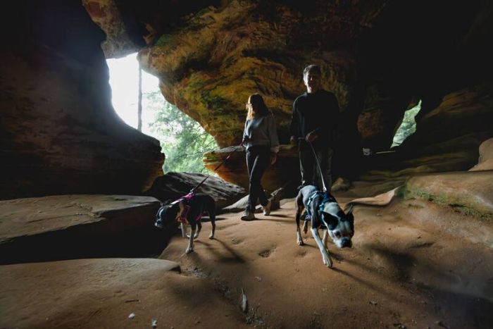 Полегшена шлейка для собак Ruffwear Hi&Light™ XS 43-56 см Сірий