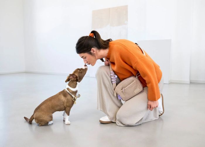 Квадратна сумка для ласощів та аксесуарів собак Palopa Noka Teddy-Fleece Бежевий