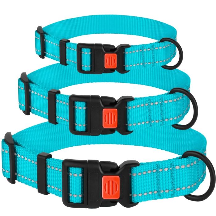 Нашийник для собак BronzeDog Блакитний пластиковий фастекс 1222 50Т 25мм (35-53см)