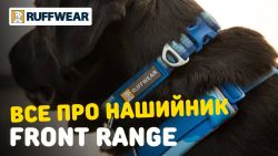 Повсякденний нашийник для собак Ruffwear Front Range™ 51-66 см Синій з зеленим