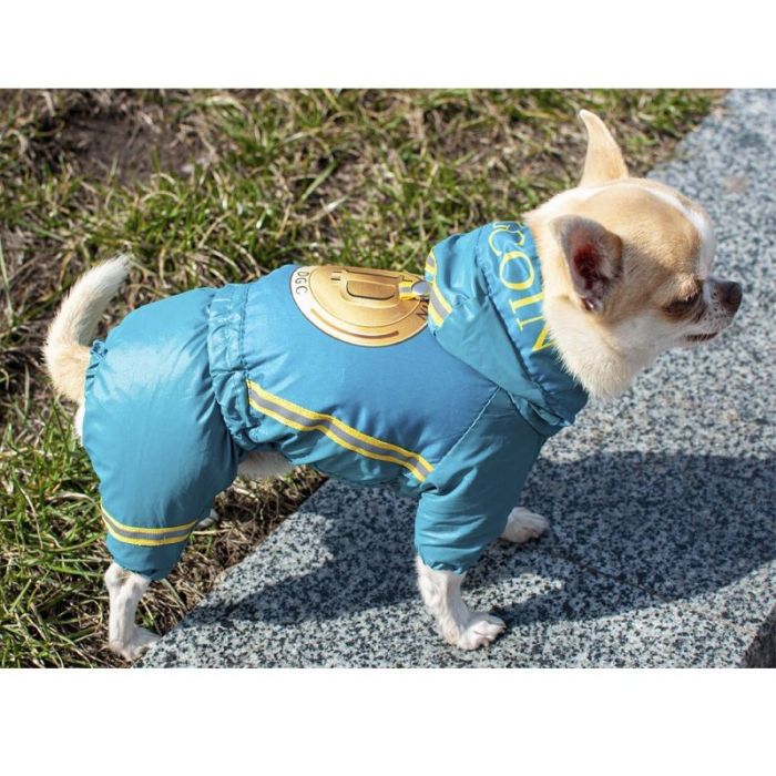 Комбінезон для собак хлопчиків на силіконі XXS