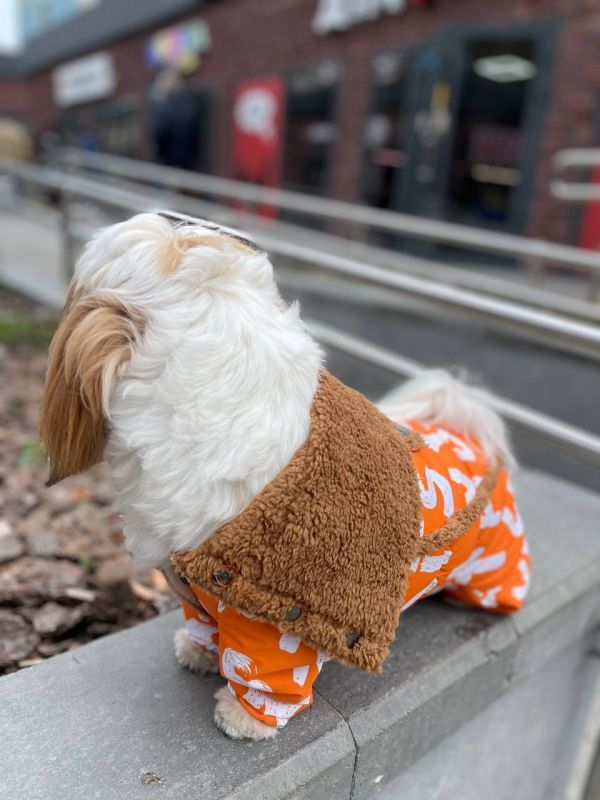 Сахара комбінезон на овчині і силіконі для собак дівчаток M