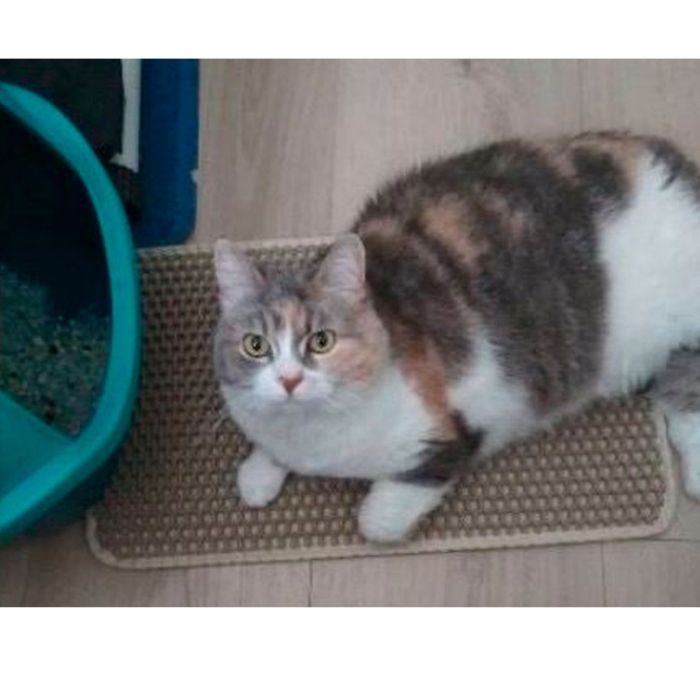 Килимок Сота бежевий 60401 см