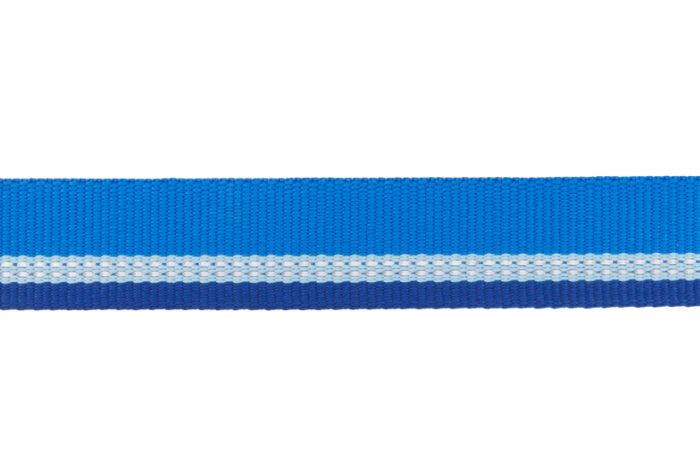 Посилений нашийник для собак зі світловідбивачем Ruffwear Top Rope™ 36-51 см Блакитний