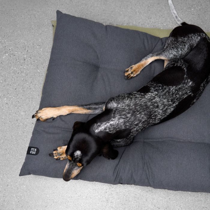 Лежак для собак Cloud7 Rescue Pillow Темно-сірий M