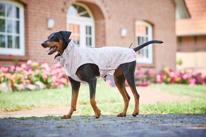 Попона дощовик для собак Wolters Modern Classic Рожевий 46 см