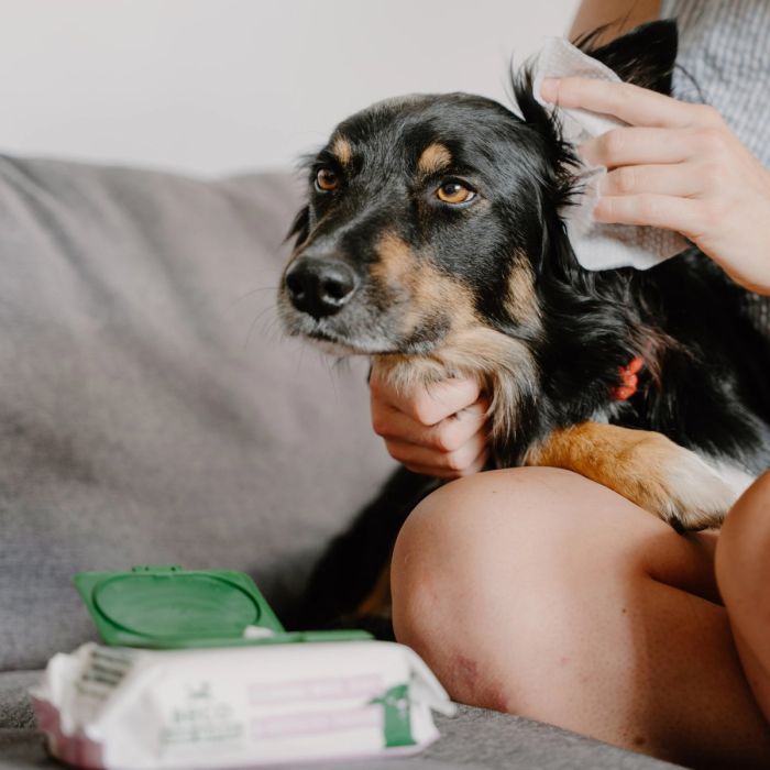 Бамбукові серветки для очищення вушок собак Beco Pets Dog Ear Wipes 70 шт.