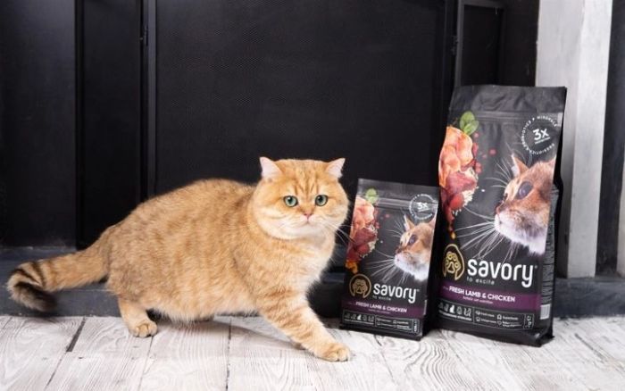 Savory Adult Cat Сухий корм для кастрованих котів зі свіжим мясом ягняти і куркою 2 кг