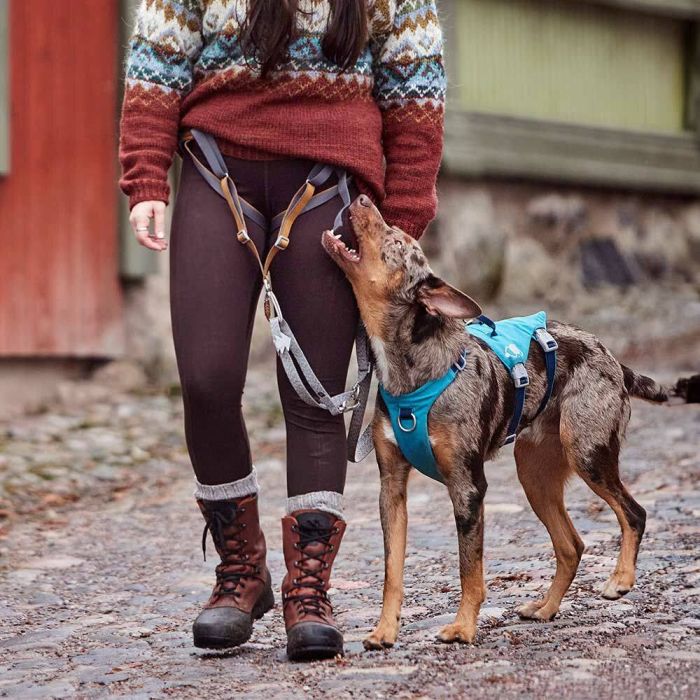 Шлейка для собак Hurtta Safeguard Harness ECO Синій 45-60