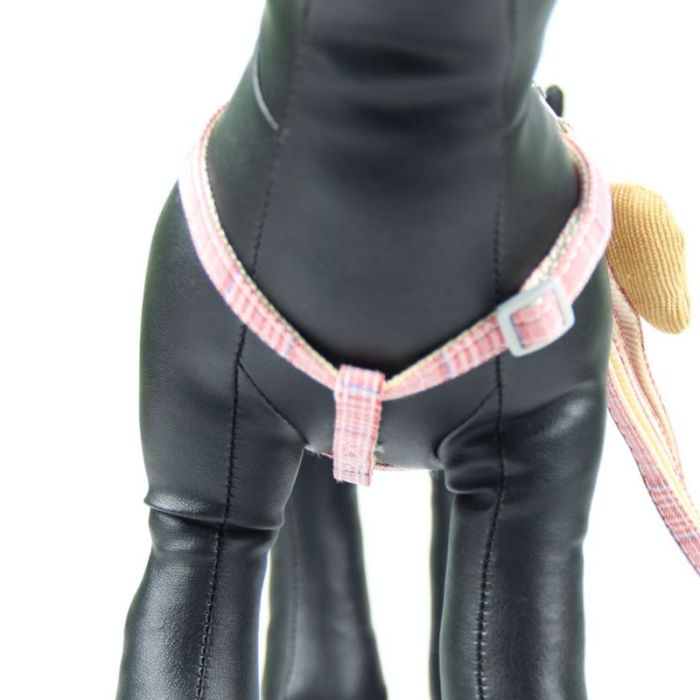 Комплект Собачки, шлея з повідцем для цуценят і дрібних собак червоно-рожева Обєм грудей 29-43 см