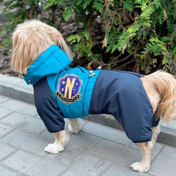 Комбінезон Бредлі велсофт (хлопчик) XS