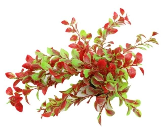 Рослина для акваріуму 006А, 8х6х25 см 