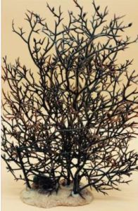 Декорація для акваріума Корал 215,523,5 см 61207 