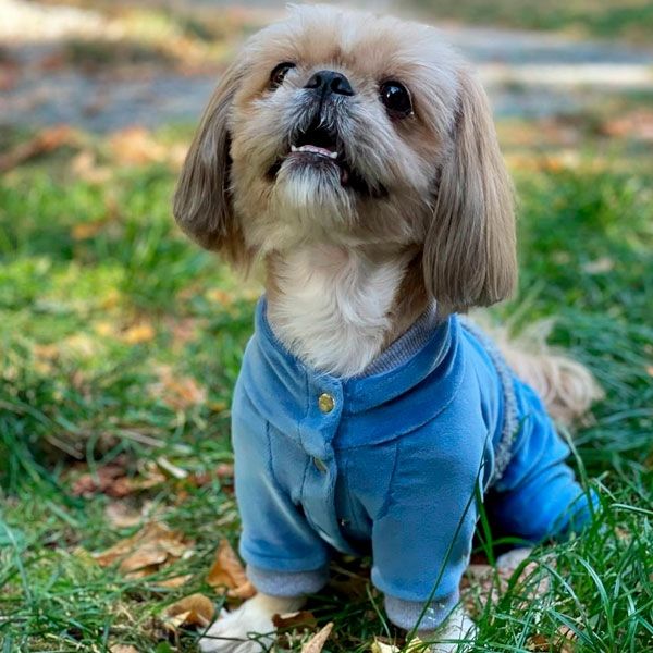 Комбінезон Колорит велюр (хлопчик) S1