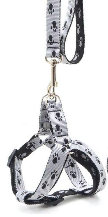 Комплект Franty Style Paw нейлон Чорно-сірий  20мм34-5241-62 см. 