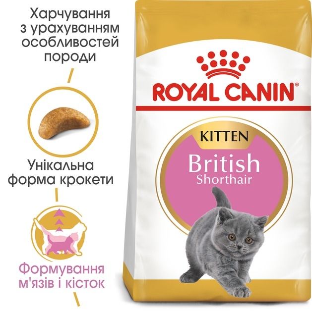 АКЦІЯ Royal Canin British Shorthair Kitten сухий корм для британських короткошерстих кошенят 2 кг + 12 паучів 