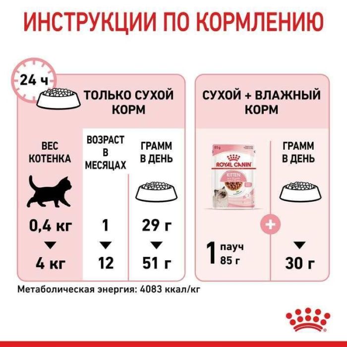 АКЦІЯ Royal Canin Kitten для кошенят на кожен день (до 12 місяців) набір корму 2 кг + 4 паучі 