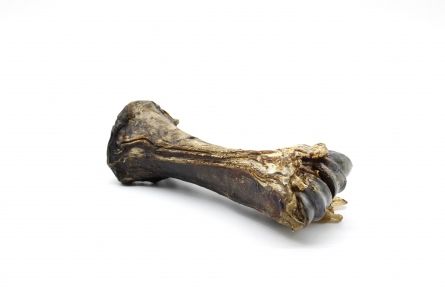 Гомілка яловича з жилкою Королівська XXL 1 шт. 