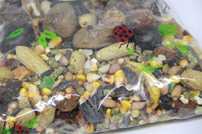 Корисна комора TARIFTY SGUIRREL ласощі для білок 500гр 