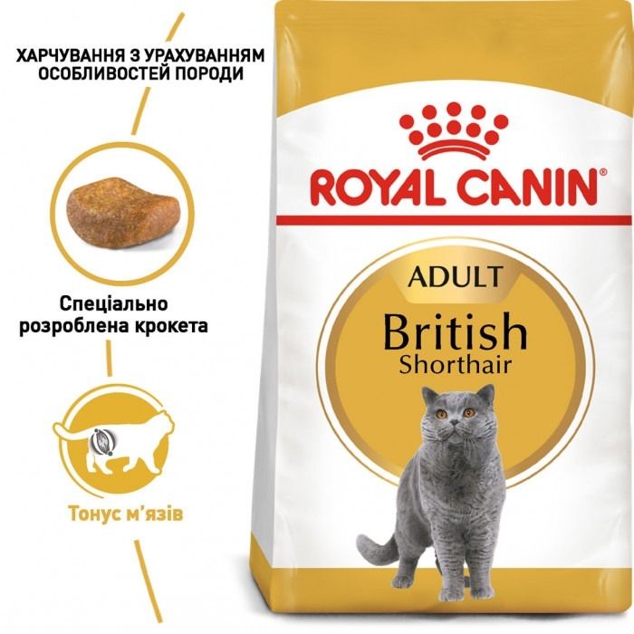 АКЦІЯ Royal Canin British shorthair корм для кішок британська короткошерста 2 кг+ 4 паучі 