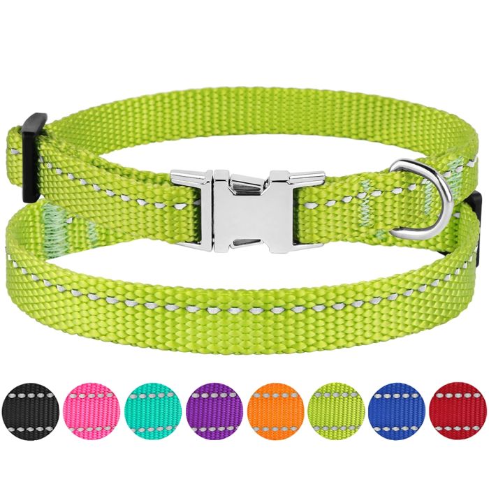 Нашийник ACTIVE для собак дрібних порід нейлоновий зі світловідображенням 10мм 18-28см Салатовий 