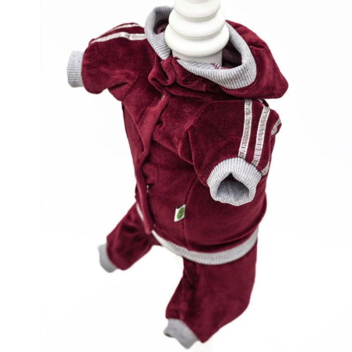 Instagram комбінезон для собак дівчаток велюр S2