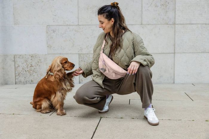 Поясна сумка-бананка для ласощів та аксесуарів собак Palopa Emma Ніжно-рожевий
