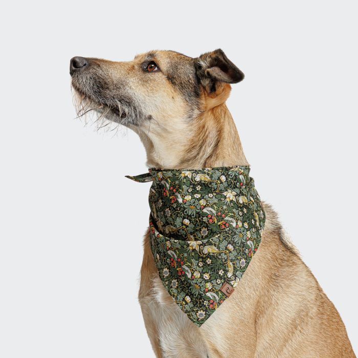Бандана для собак Cloud7 Strawberry Thief Зелений L