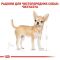АКЦІЯ Royal Canin Chihuahua AD набір корму для собак 1,5 кг + 4 паучі 