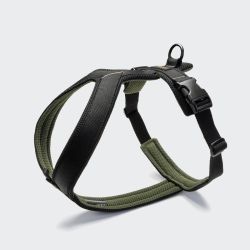 Y-подібна шлейка для собак Cloud7 Y-1 Harness AKTIV Чорний XS