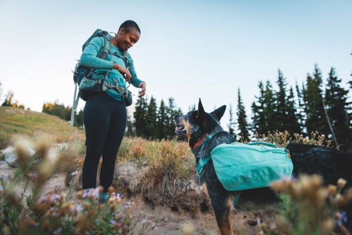 Шлейка-рюкзак для собак Ruffwear Front Range™ S Зелений