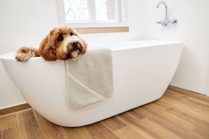 Рушник для собак Palopa Kosy Бежевий M-L